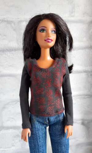 Longsleeve met Chinese tekens voor modepop van 29 cm